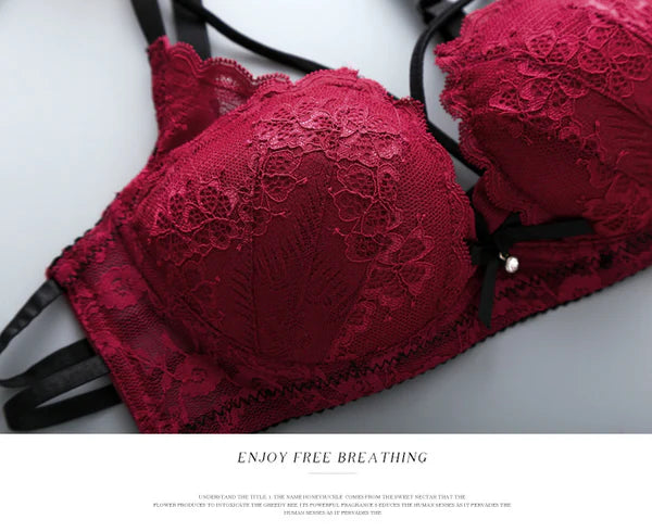 Flourish Push Up Padded Lace Bra And Panty Set Back Closure Seamless Lingerie Set Black